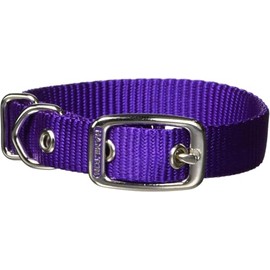 Hamilton Single Thick Nylon Buckle Dog Collar for Small & Medium Dogs, 5/8" Wide x 14" Neck, Purple