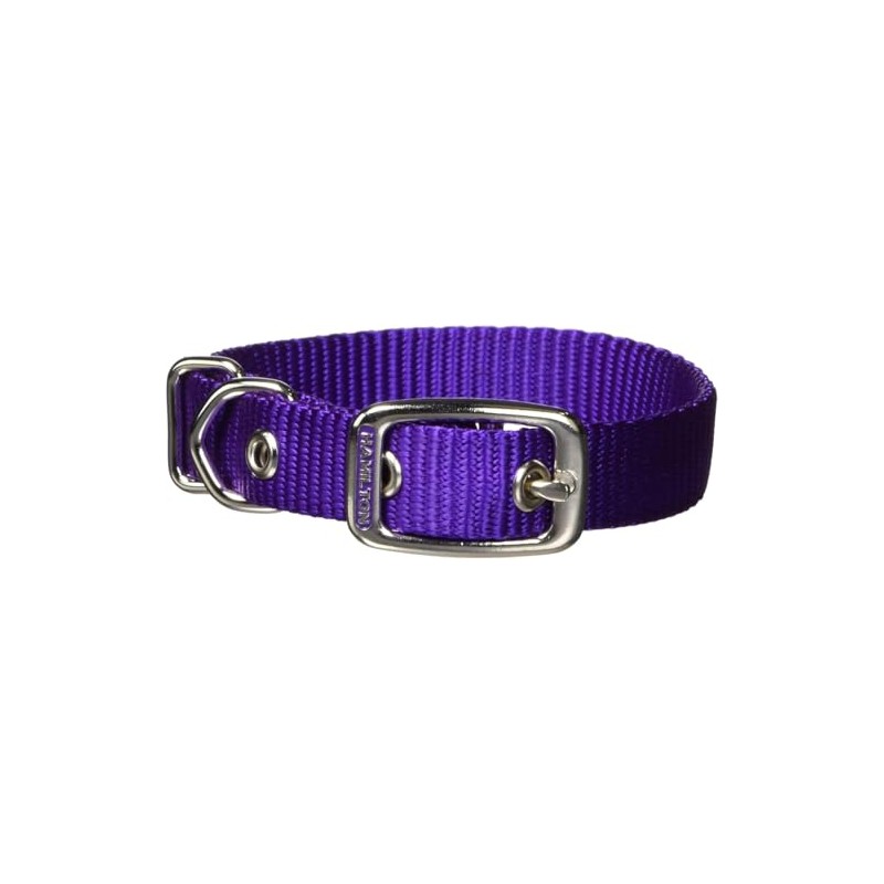 Hamilton Single Thick Nylon Buckle Dog Collar for Small &