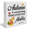 Fall Wood Box Sign Art Desk Decor Fall Wood Block