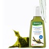 라우쉬 씨위드 디그리징 지성 두피 청정 샴푸, 200ml, 1개 Rausch