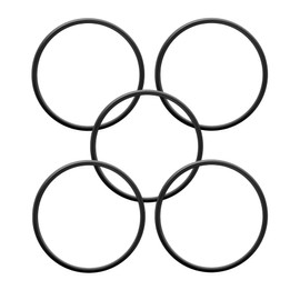 5 Pack 357255 Lid O-Ring Replacement for Pentair SuperFlo, SuperMax Sta-Rite OptiFlo Pool and Spa Inground Pump