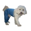 Mozzie Pants Walking E-Collar Alternative, Dog Pajamas, Medium, Blue