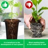 tchrules 15pcs Plastic Deep Plant Nursery Pots,8.66”Tall Tree Pots,Black Deep