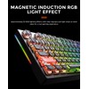DAREU EK75RT Rapid Trigger Wired Gaming Keyboard, Hall Effect Magnetic