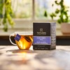 Taylors of Harrogate Black & Herbal Tea Variety Pack, 20ct