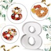 Mifoci 13.7" Cardboard Number for Charcuterie Birthday Party and Anniversary