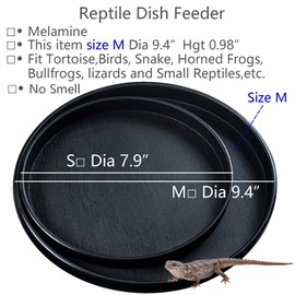 Fuongee Reptile Water Food Dish Bowl Turtle Feeder Tortoise Feeding Dish Container (M, Black)