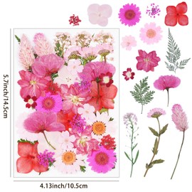 40Pcs Pink Dried Pressed Flowers for Crafts,Xinxinran Dry Flowers Kit for Resin Molds,Epoxy Resin Accessories,Bookmark,Nails, Jewelry Molds,Candle Making Supplies,Soap,Frame,Cakes