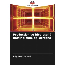 Production de biodiesel à partir d'huile de jatropha