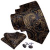 Barry.Wang Black and Gold Ties Paisley Necktie Set Wedding Formal