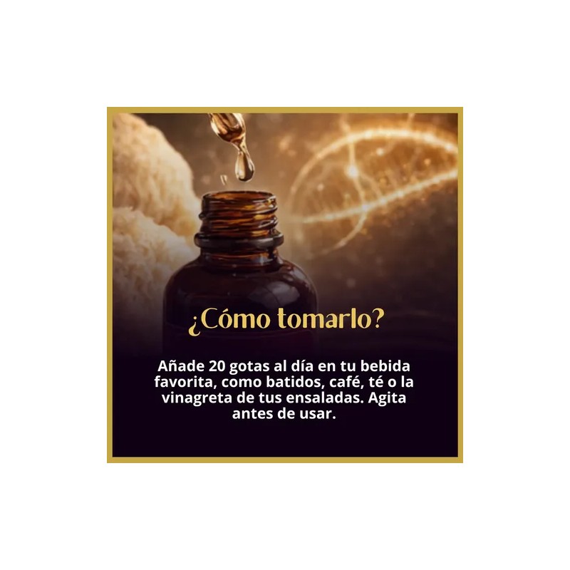 Hongo Melena De León Adaptógeno Líquido Alta Concentración