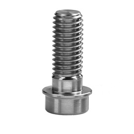 Ruifu Titanium Alloy Hex Hole Motorcycle M10x25mm Caliper Brake Bolts for Ducati 916 (Pitch 1.5mm)