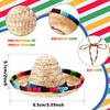 2 Pack Bearded Dragon Sombrero Hats - Lizard Cinco De