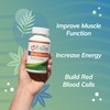Blood Booster Iron Supplement for Energy and Fatigue - Gentle,
