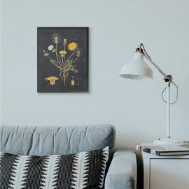 Stupell Industries Botanical Drawing Dandelion, Design by Artist Lettered and Lined Wall Art, 16 x 20, Black Framed