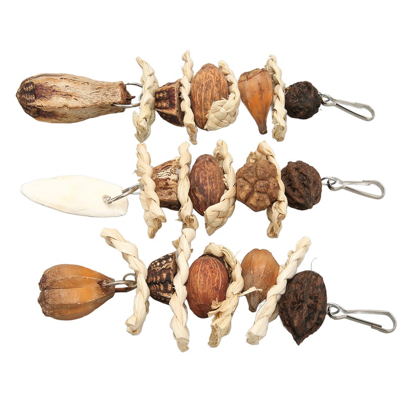 Parakeet Beak Stone Parrots Trimming Chew Toys Set Bird Nuts