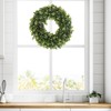 12-Inch Boxwood Wreath - Round UV Resistant Artificial Spring, Summer,