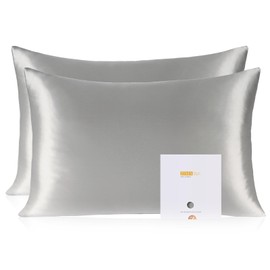 ZIMASILK 100% Pure Mulberry Silk Pillowcase 2 Pack, Soft and Smooth,Both Sides Premium Grade 6A Silk,600 Thread Count,with Hidden Zipper for Men and Women Family (Standard 20"x26", Gray)