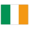 10 x Irish Flag Stickers - Ireland Stickers - for