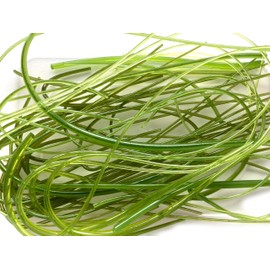 50g mixed green vitrigraph stringers, Bullseye Glass, for glass fusing and fused glass projects