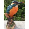 Kingfisher on a Stump, Wild Bird Collection by Vivid Arts