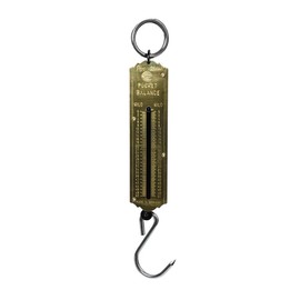 Format 4030884805169 – taschenfederwaage 50 kg kilo/Kilo