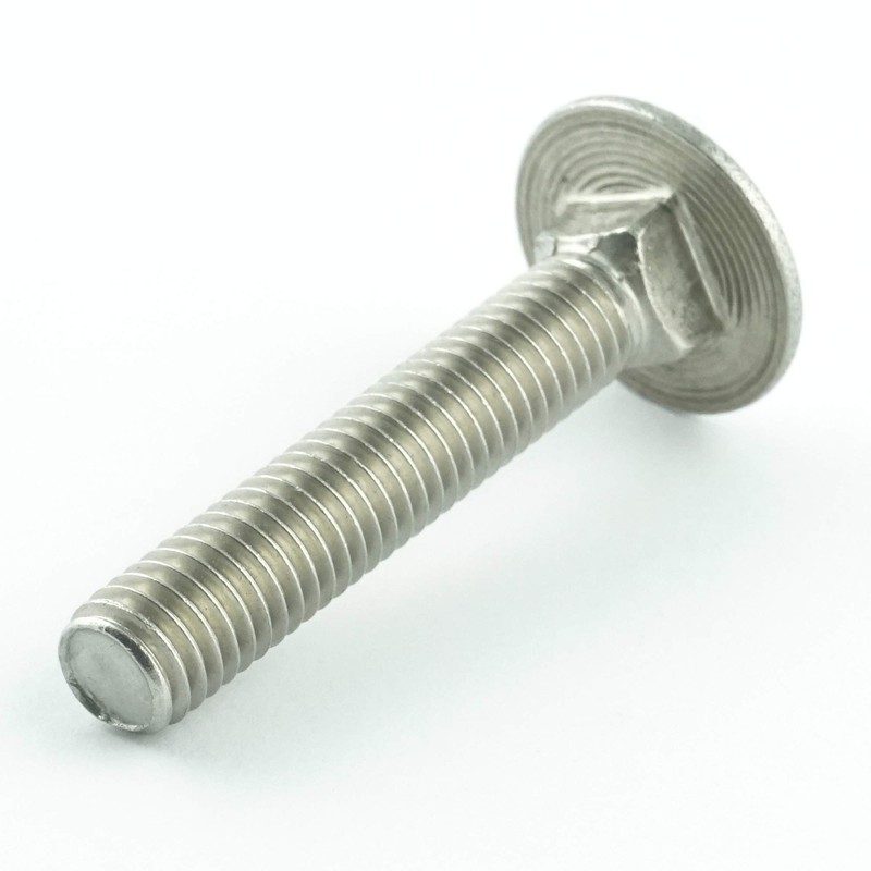 Eisenwaren2000 M6 x 25 mm (30 pieces) - Carriage Bolts