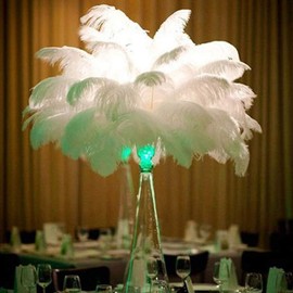 10pcs Natural Ostrich Feather Plume - 12-14 Inch (30-35cm) Wedding Centerpiece Home Decor (30-35cm,White)