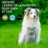 NUTRIVET - INNE - Huile de Saumon - Ergänzungsfuttermittel -