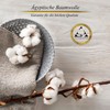 Aymando Towel 100% Egyptian Premium Cotton, Soft, Elegant, High Quality,