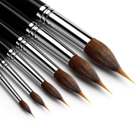 6 PCS Watercolor Brushes Professional, Extended Needle Point Brushes with Belly Reservoir for Fine Detail, Continuous Painting & Broad Washes, Great for Artists