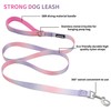 AIITLE Dog Harness and Leash Set - No Pull Pet