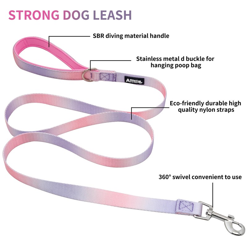 AIITLE Dog Harness and Leash Set - No Pull Pet