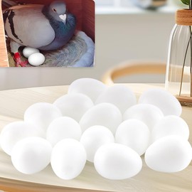 DQITJ 50 Pcs Pigeon Eggs Simulation of Solid Plastic Pigeon Eggs for Pigeons Breeding Nest Training Poultry Supplies