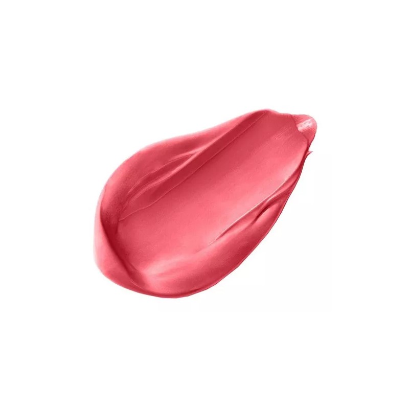 Wet n Wild Labial Matte Wet N Wild Mega Last