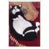 White Fat black and white cat on couch with mouse