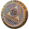 10 Month AA Medallion Reflex Funfetti Birthday Glitter Gold Sobriety