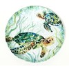 Sigrid Olsen Sea Turtle Melamine Serving Platter 11 inches by