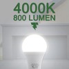 2 Pack LED Garage Door Opener Bulbs, 4000K, White, Compatible