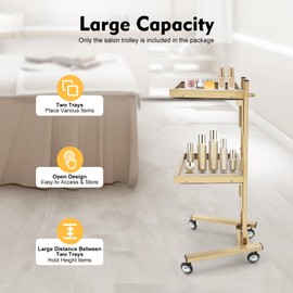 2 Tier Gold Metal Rolling Cart, 33.8 in Folding Salon Tray Trolley, Stainless Steel Salon Tray with Wheels, Rolling Tool Trolley Cart for Salons Spa, Salons Carts for Hair Stylist