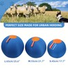 Polyester Dog Herding Ball Toy - 1pc Durable with Pump