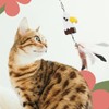 SONGWAY Cat Toy Bird, Cat Feather, Fluffy Toy, 6 Birds