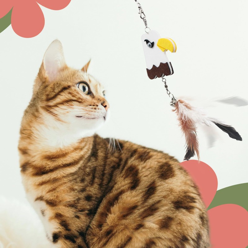 SONGWAY Cat Toy Bird, Cat Feather, Fluffy Toy, 6 Birds
