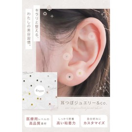 Urn Jewelry & co. Ear Urn Jewelry, Urn Seal, Pure Titanium, Transparent, Gold Granular, Silver Granular, 100 Pieces, Charm (100 Pure Titanium)