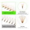 500 Premade Fans Eyelash Extensions 8-15mm Mixed Length Brown Promade