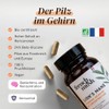 French Mush Lion's Mane Bio 8000 mg - 56 Kapseln