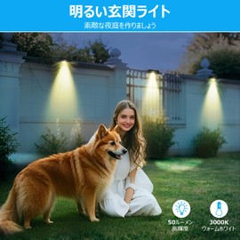 NFESOLAR Entrance Light, Solar Light, Outdoor, Security LED, Garden Light, Wide Range of Irradiation, Waterproof, IP65, Entryway, Garden, Parking Lot, Automatic Flashing, High Brightness, Warm Light