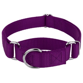 Martingale - Collar de Entrenamiento Resistente sin Hebilla, Collar de Perro de Servicio para Todos los Cachorros, 20 Colores Vibrantes (Morado, 1 Pul