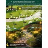 2 Pack Solar Garden Lights Outdoor,16 LED Solar Dandelion Bee