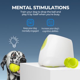 ALL FOR PAWS ALL FOR PAWS Automatic Dog Ball Launcher for Medium to Large Dogs, Interactive Dog Ball Thrower Mental Stimulation Dog Toys, Dog Tennis Ball Machine with Standard Tennis Balls, Rechargable & Reliable